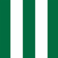 pasy biało-zielone - RS15